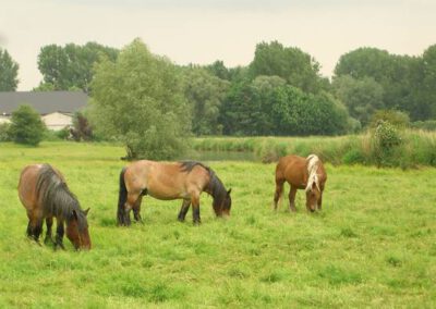 Entdecken Sie die Umgebung